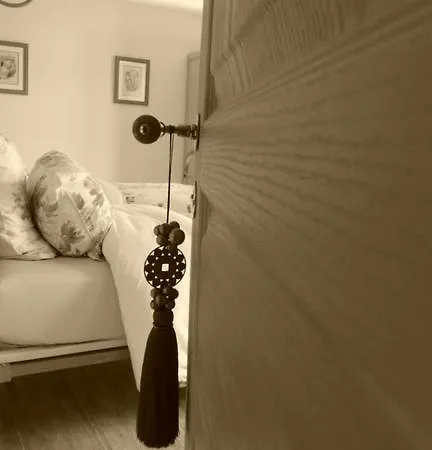 Le Grand Cedre Couette-café